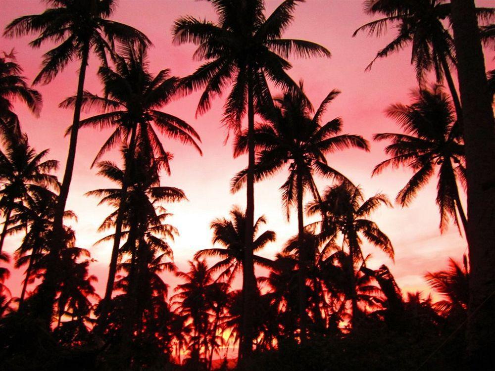 Balay De La Rama Bed & Breakfast Legazpi Extérieur photo