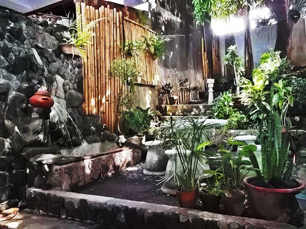 Balay De La Rama Bed & Breakfast Legazpi Extérieur photo