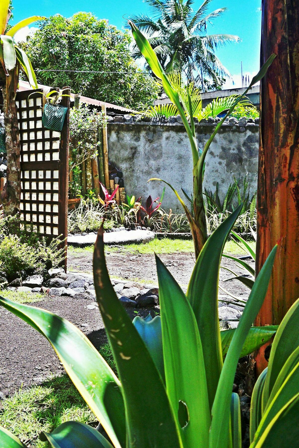 Balay De La Rama Bed & Breakfast Legazpi Extérieur photo
